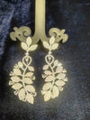 AD Stone Earring