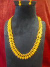 Long Goldan polish Necklace